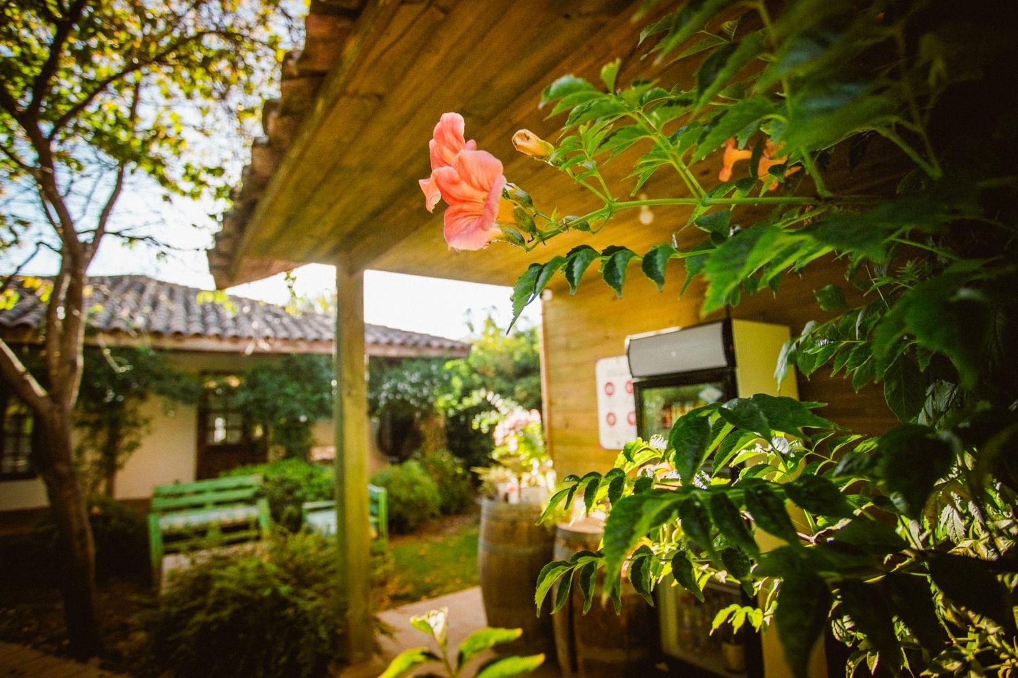 Hotel Hoja De Parra Santa Cruz Eksteriør billede